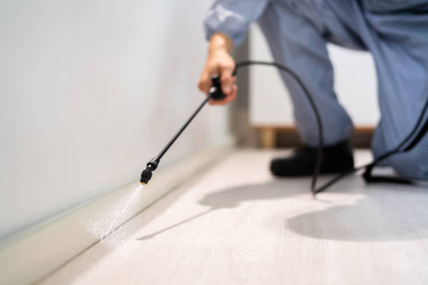 Licensed Pest Control service in Republic County County, KS - Nex Pest Control