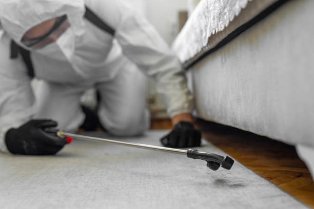 Professional Pest Control technician working in Republic County County, KS